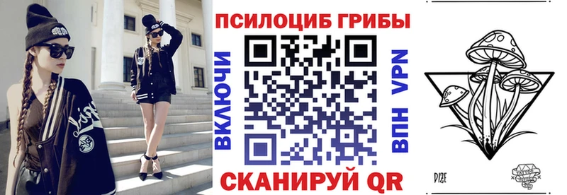 купить закладку  Новоалтайск  Псилоцибиновые грибы мицелий 